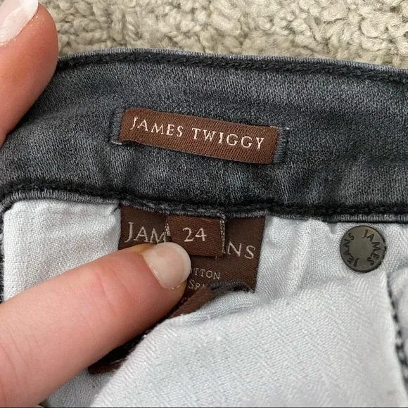 James Jeans Slate James Twiggy Skinny Jeans - Picture 8 of 12